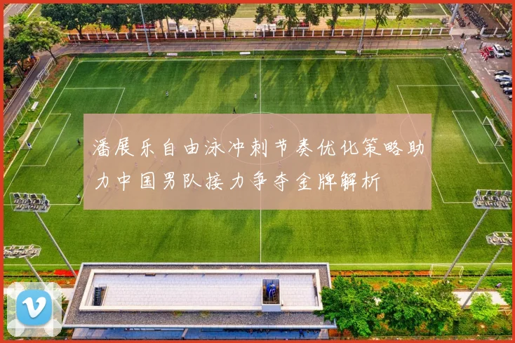 潘展乐自由泳冲刺节奏优化策略助力中国男队接力争夺金牌解析